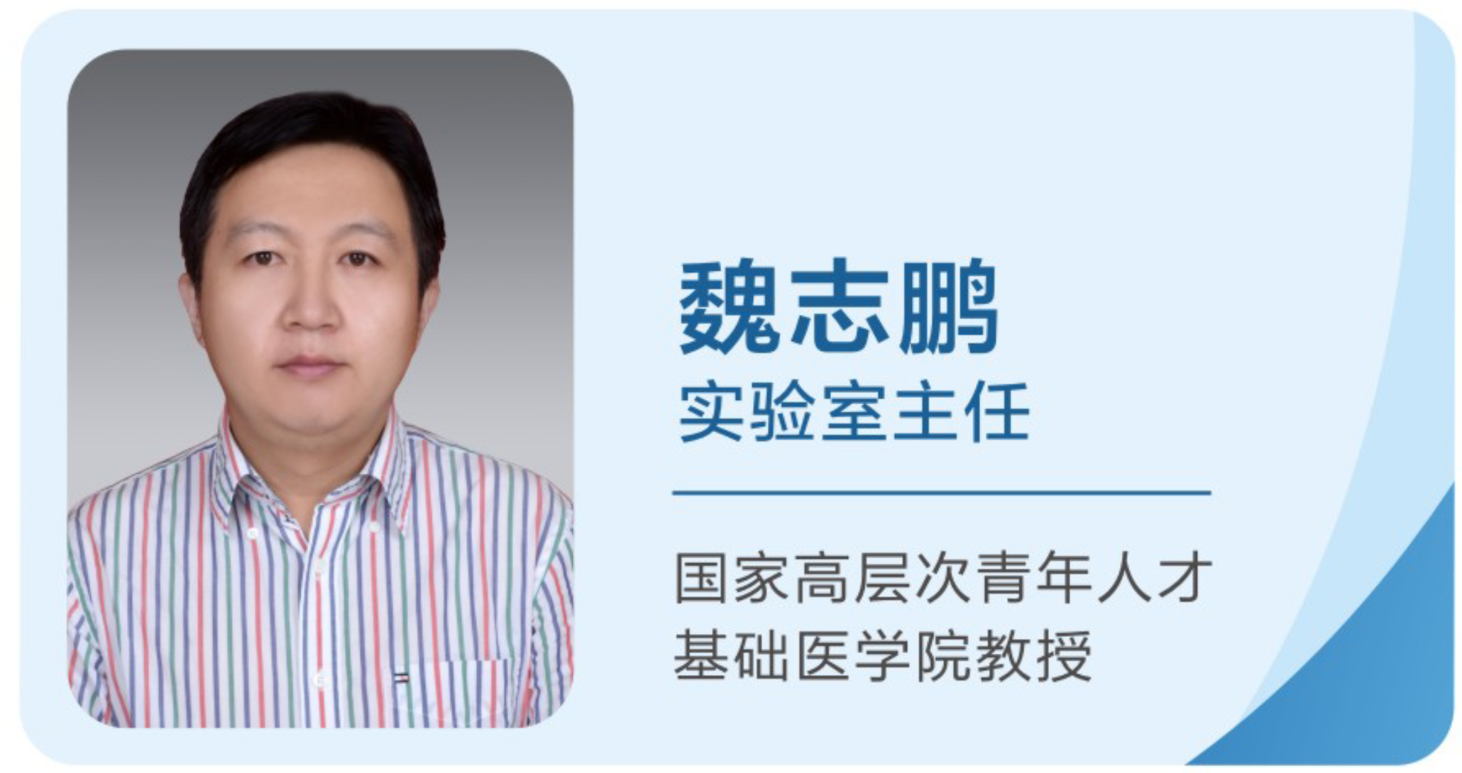 管理团队成员